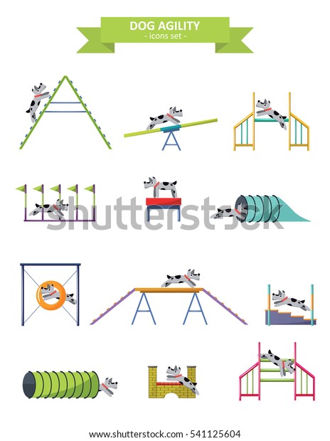 agility items for dogs