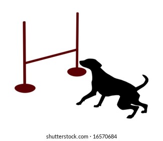 Dog agility: jump over hurdle
