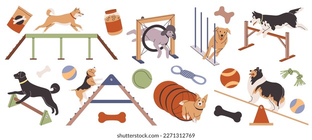 Dog agility. Pets train on their own, animal simulators, different breeds, outdoor sport activities, obstacle overcoming, playground for animals, tidy vector cartoon flat isolated set