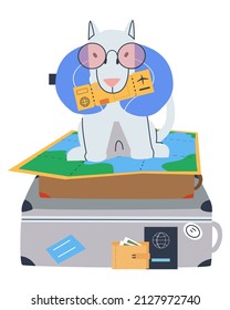 The dog with the air ticket sits on the suitcases. Rules for the transport of animals. Air travel with a dog. Flat vector illustration. Eps10