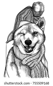 A dog of the Akita Inu breed in a hat and scarf smiles and winks