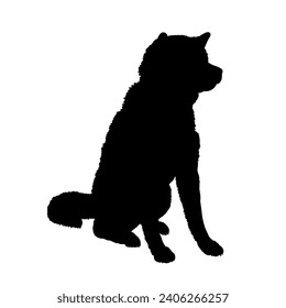 Dog Akita sitting silhouette Breeds Bundle Dogs on the move. Dogs in different poses. jumps, the dog runs. The dog is sitting. The dog is lying down playing
