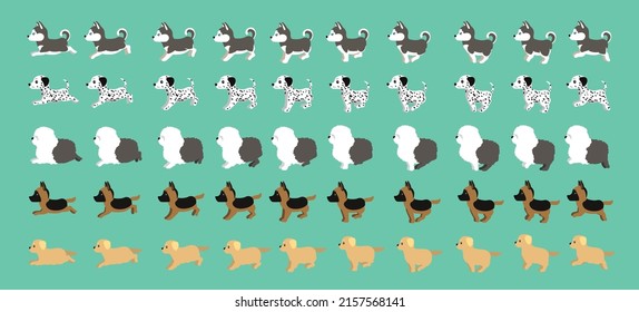 Perro Alaskan Malamute Dalmatian Viejo Pastor Inglés Alemán Pastor Dorado Regordeador Caminando Caricaturista Vector Set