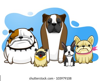 dog all breed bulldog pug boston terrier french bulldog