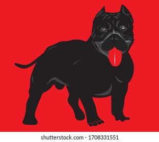 Dog American Bully Black strong