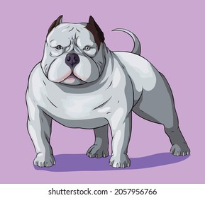 Dog american bully pitbull art