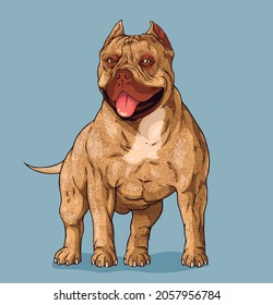 Dog american bully pitbull art