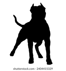 Dog American pit bull stands silhouette Breeds Bundle Dogs on the move. Dogs in different poses.
The dog jumps, the dog runs. The dog is sitting lying down is playing
