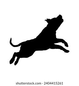 El perro americano Pit Bull Terrier salta la silueta de la raza perros en movimiento. Perros en diferentes poses.
El perro salta, el perro corre. El perro está sentado tumbado, está jugando.
