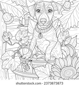 https://image.shutterstock.com/image-vector/dog-among-sunflowers-pumpkinscoloring-book-260nw-2373873873.jpg