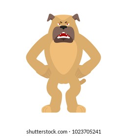 Dog angry. Pet evil emoji avatar. bulldog aggressive. Vector illustration
