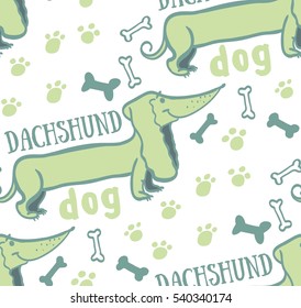 dog, animal, background, animal background, dog bones background picture dog track, dog bone, bone, dachshund