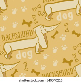 dog, animal, background, animal background, dog bones background picture dog track, dog bone, bone, dachshund