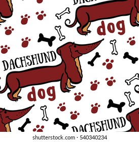 dog, animal, background, animal background, dog bones background picture dog track, dog bone, bone, dachshund
