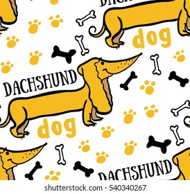 dog, animal, background, animal background, dog bones background picture dog track, dog bone, bone, dachshund