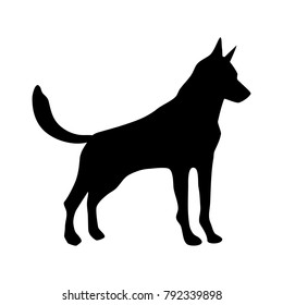 dog animal to chinese zodiac cartoon