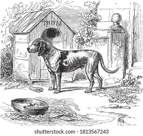 Dog animal, From the Dictionary of Word and Things, 1888.