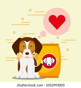 dog animal domestic