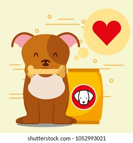 dog animal domestic