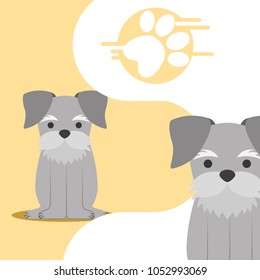 dog animal domestic