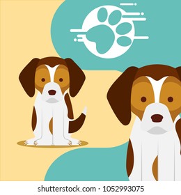 dog animal domestic