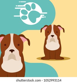 dog animal domestic
