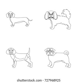 Dog, animal, domestic, and other web icon in outline style.Dachshund, maltese, bulldog icons in set collection.