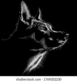 Dog animal illustration, nature conservation vector