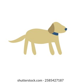 dog, animal, pet, Labrador Retriever, simple