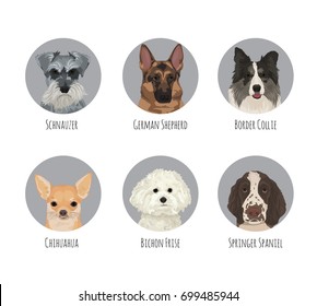 Dog animal pet round circle portrait badge stickers. Various dog breeds and kind, friendly cute german shepherd, border collie, chihuahua, schauzer, bichon frise, springer spaniel
