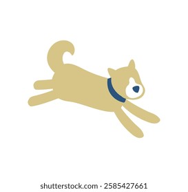 dog, animal, pet, Shiba Inu, run, simple