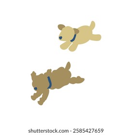 dog, animal, pet, toy poodle, run, simple