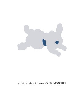 dog, animal, pet, toy poodle, run, simple