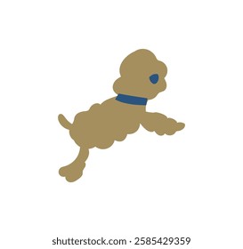 dog, animal, pet, toy poodle, run, simple