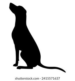 Silhoutte animal de perro. Imagen del vector