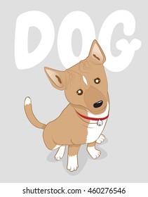 dog animal sit looking