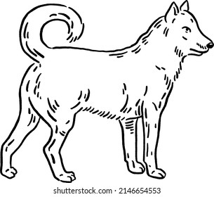 Dog animal symbol Zodiac year Hand drawn Line art Illustration