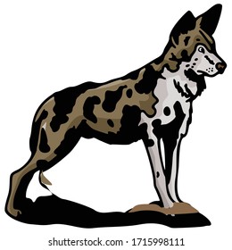 Dog Animal Vector Illustration Template Icon Collection
