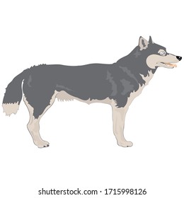 Dog Animal Vector Illustration Template Icon Collection