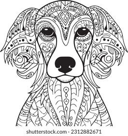 Dog animal very beautiful images