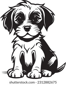 Dog animal very beautiful images