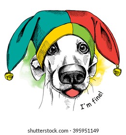 Dog in a april fools' hat. Vector illustration.