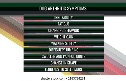 Dog Arthritis Symptoms.  Vector Illustration For Medical Journal Or Brochure. 