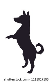 Featured image of post Jumping Running Dog Silhouette 13200 3d models found related to running dog silhouette