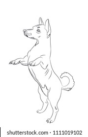 dog asking, lines, vector. White background