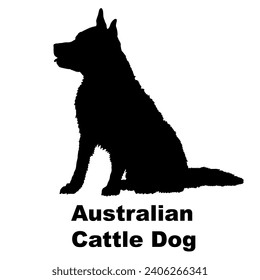 Dog Australian Cattle  silhouette Breeds Bundle Dogs on the move. Dogs in different poses. jumps, the dog runs. The dog is sitting. The dog is lying down playing
