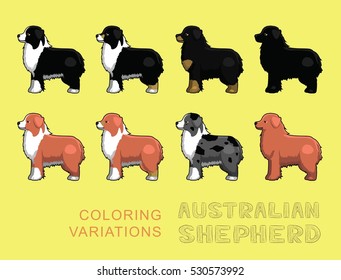 Dog Australian Shepherd Coloring Variations Vector Illustration