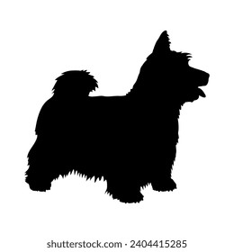 Dog Australian Skye Terrier silhouette Breeds Bundle Dogs on the move. Dogs in different poses.
The dog jumps, the dog runs. The dog is sitting lying down is playing
