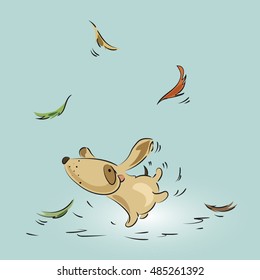 Dog in autumn