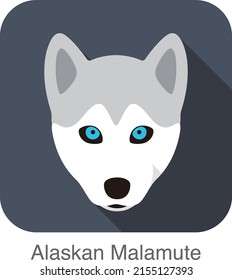 Dog baby's face, Alaskan Malamute  vector illustrator